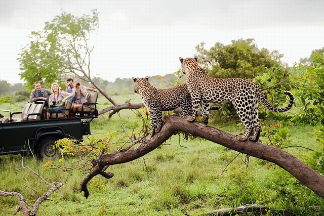 Yala National Park Taxi Service